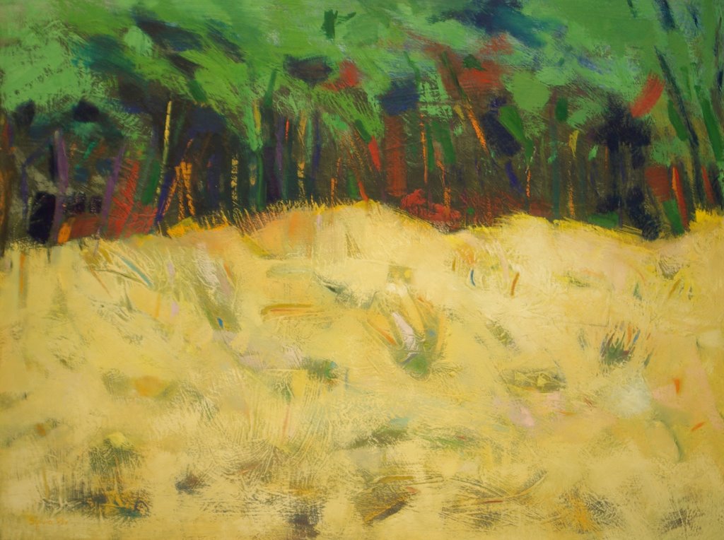 IMGP3871-1
